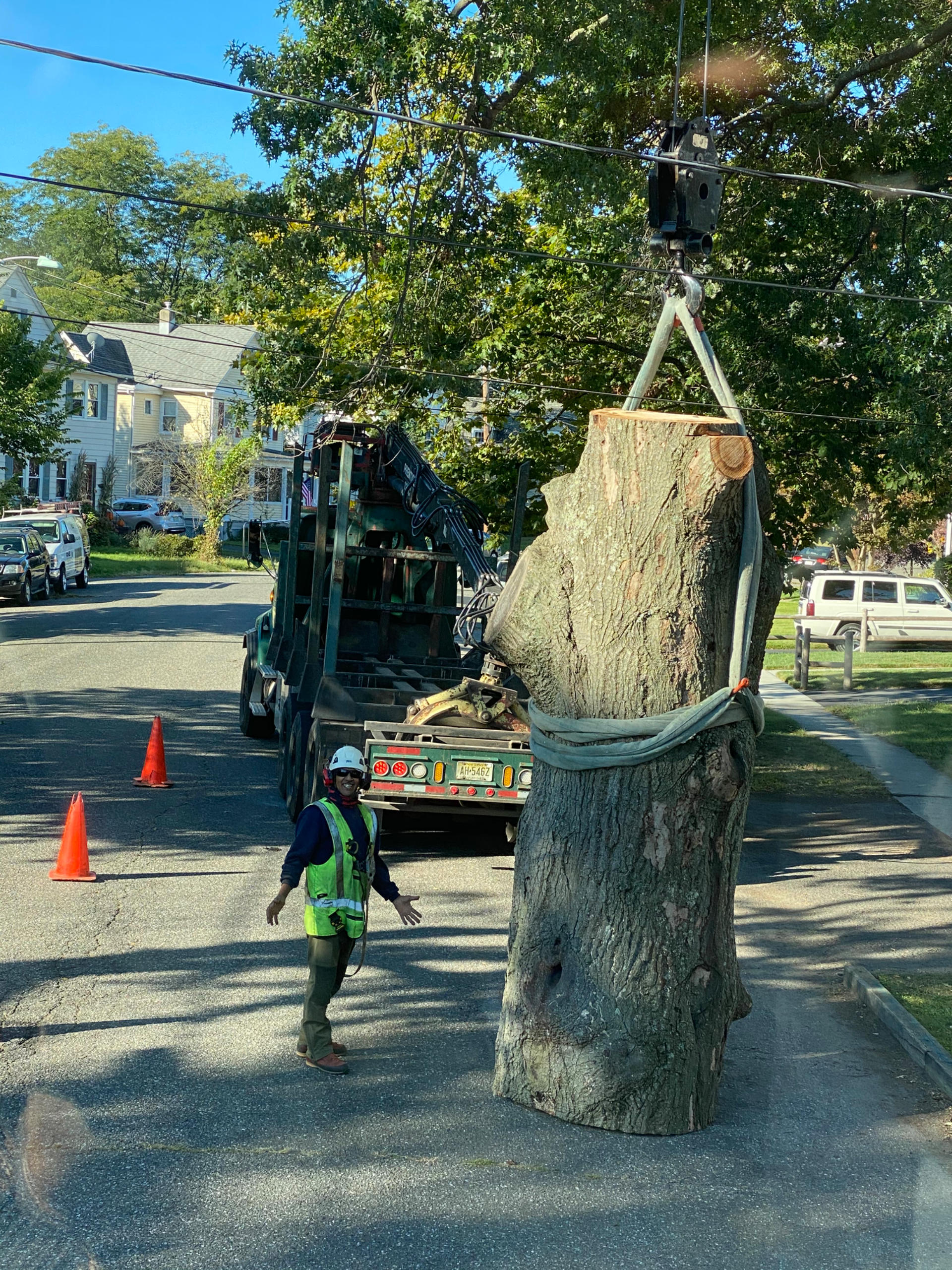 Crane assisted tree removal